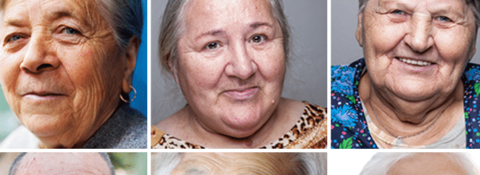 diversity-704x512.png diversity-704x512.png