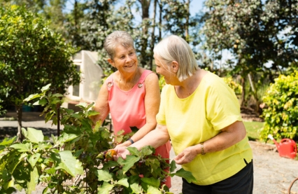 stronger-communities-sustainability.jpg