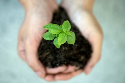 sustainability-governance.jpg
