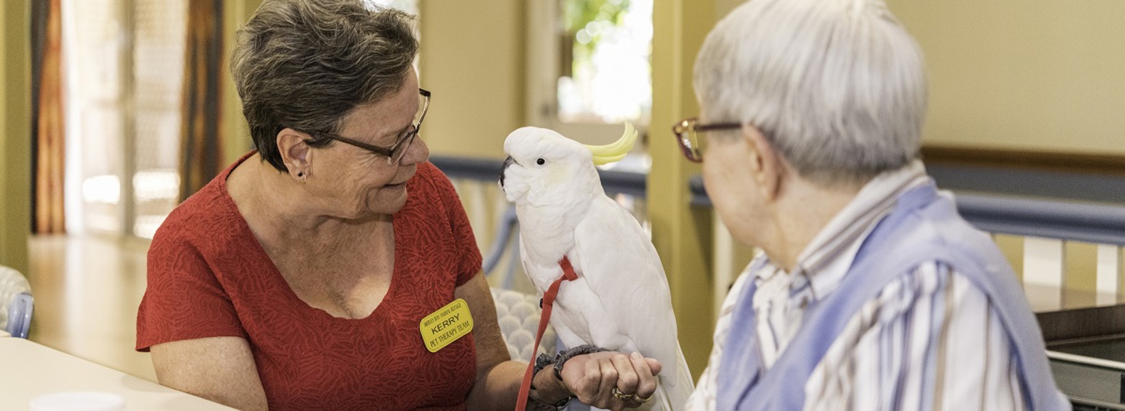 BaycrestPetTherapy.jpg BaycrestPetTherapy.jpg