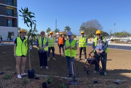 Fernhill Tree Planting (2).JPG Fernhill Tree Planting (2).JPG