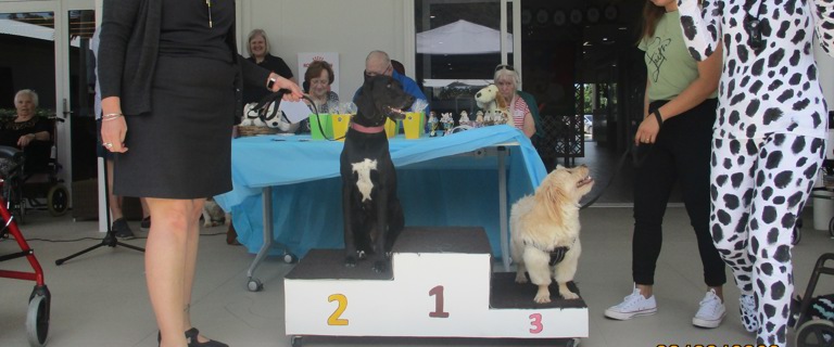 Glendale dog show podium (2).JPG Glendale dog show podium (2).JPG