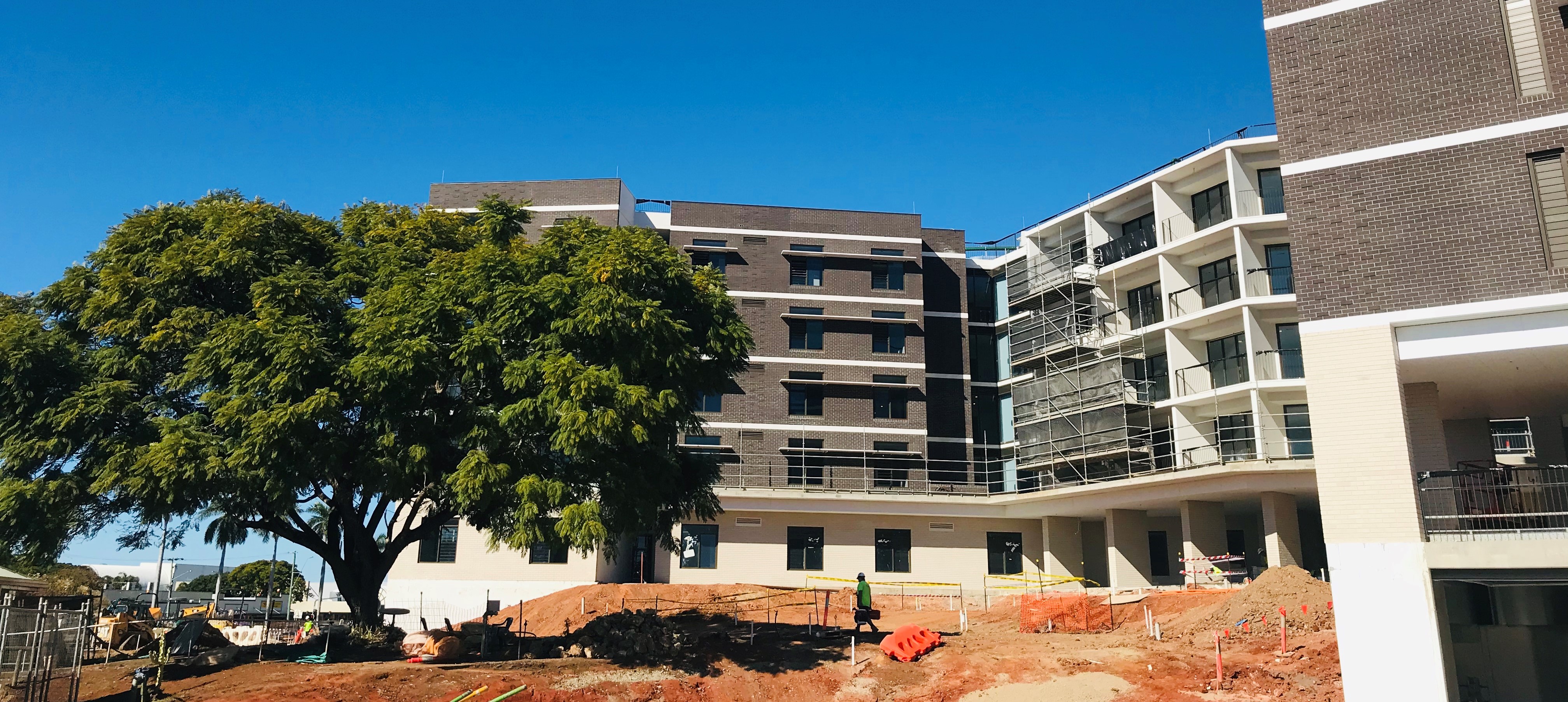 Jacaranda with building_edit.jpg Jacaranda with building_edit.jpg