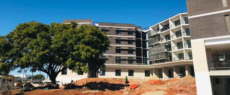 Jacaranda with building_edit.jpg Jacaranda with building_edit.jpg