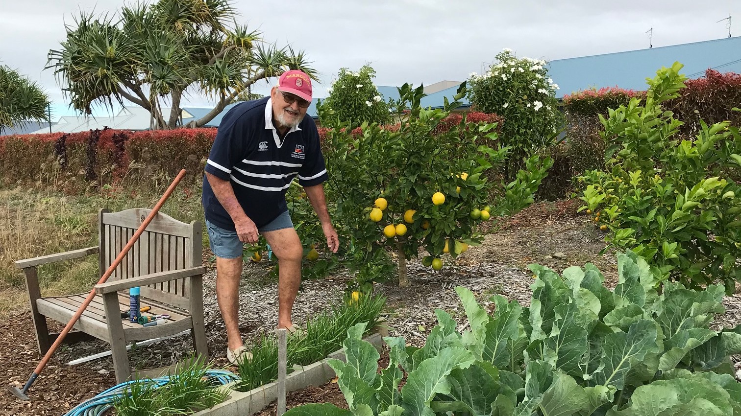 Sunset Ridge gardening 603_crop.jpg Sunset Ridge gardening 603_crop.jpg