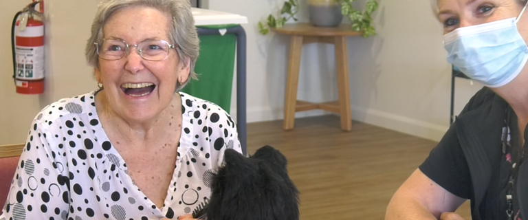 RoboticsDementia_Article.png RoboticsDementia_Article.png