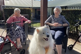 Sparkles with Cazna Gardens residents