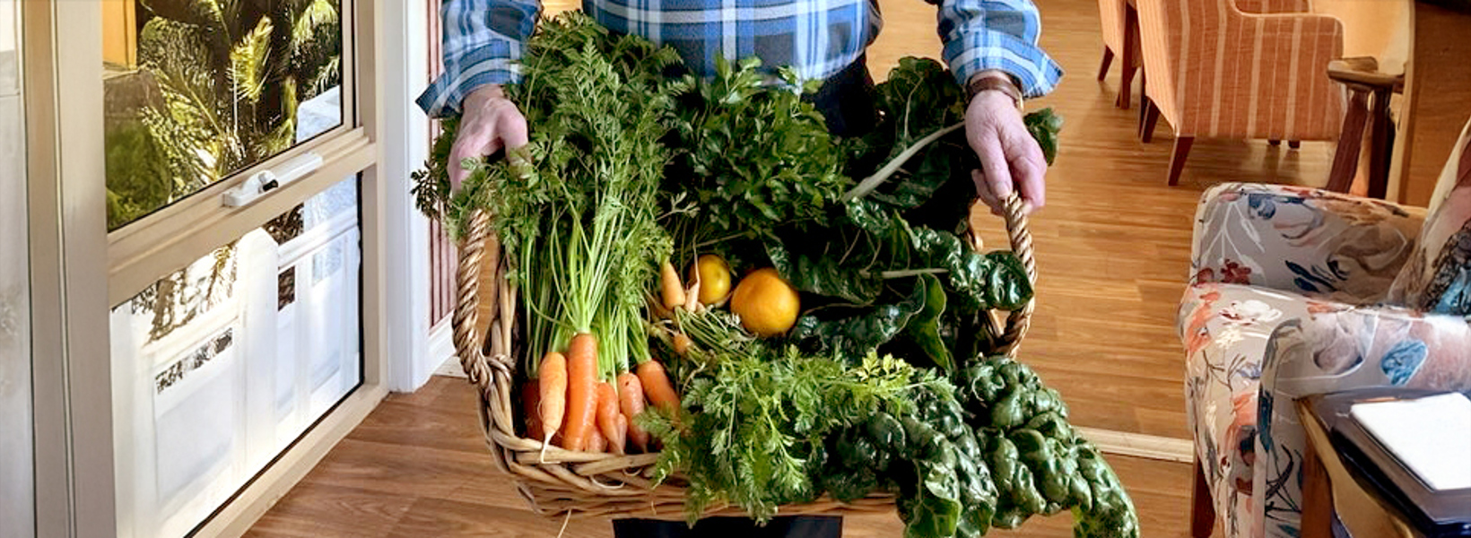 Plating up garden delights Plating up garden delights