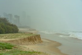 Community spirit on show