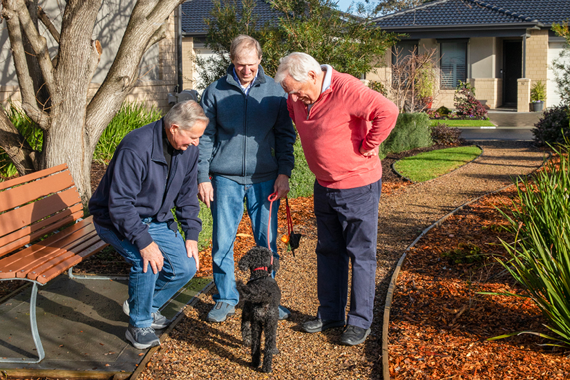 Martha Bay - carousel