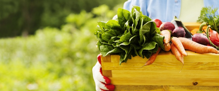 breezesmarketdayweb.jpg breezesmarketdayweb.jpg