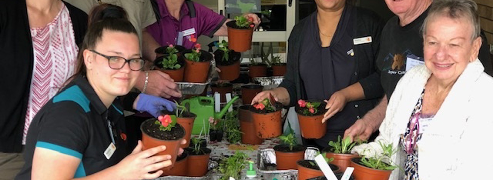 Inverpine garden web2.jpg Inverpine garden web2.jpg