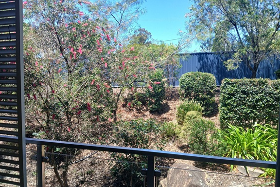 Tantula Apt 19 Outlook.jpg