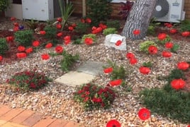 Inverpine Remembrance Day IMG_2048.JPG Inverpine Remembrance Day IMG_2048.JPG