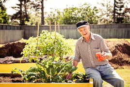 Westhaven Elmore Lloyd.jpg Westhaven Elmore Lloyd.jpg